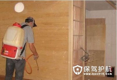 房屋装修白蚁防治全攻略 专业措施与服务详解