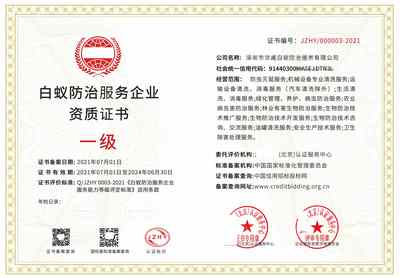 不可忽视的防线 解析白蚁防治资质与服务选择之道
