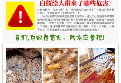 大邑白蚁防治 专业服务与优质器械一站式解决方案